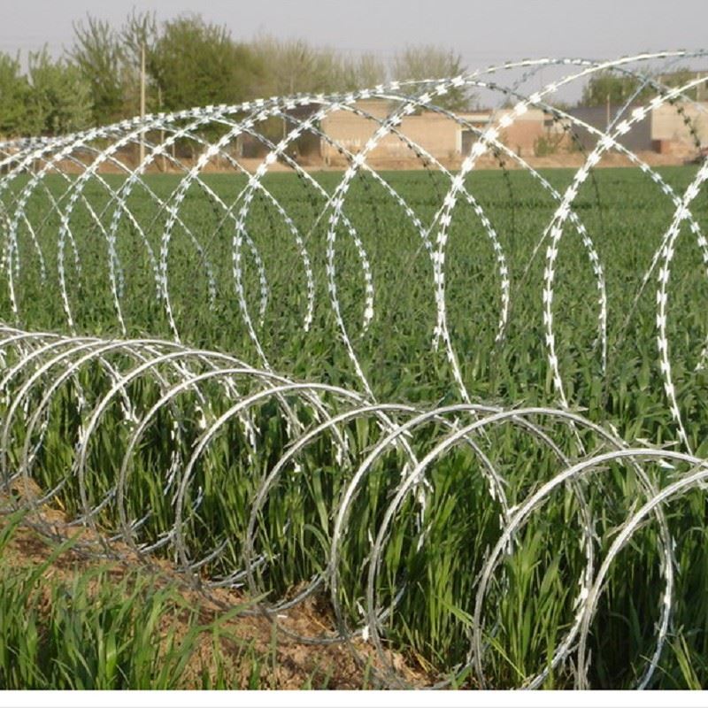 Security Razor Wire suppliers